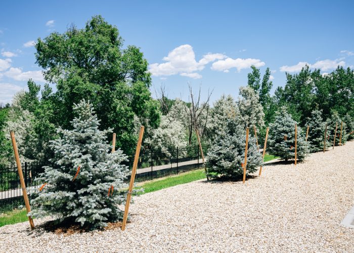 Landscaping throughout the Property Landscaping throughout the Property