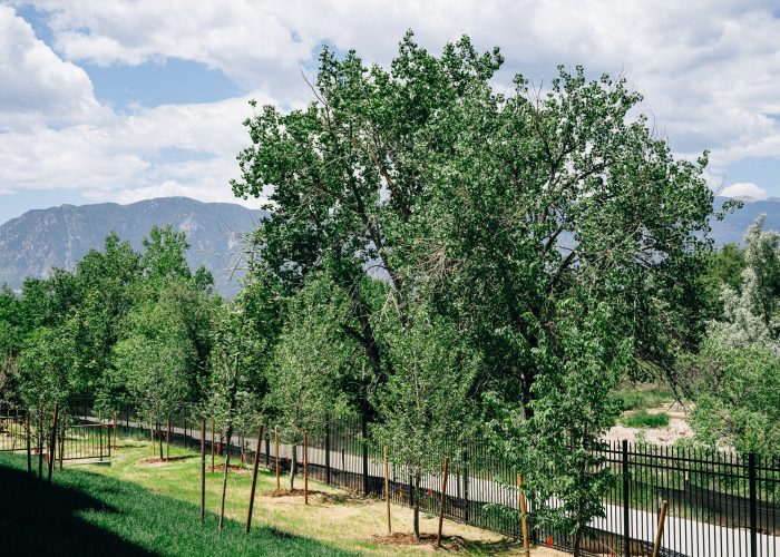 Landscaping throughout the Property Landscaping throughout the Property